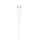 Apple EarPods slušalice - USB-C